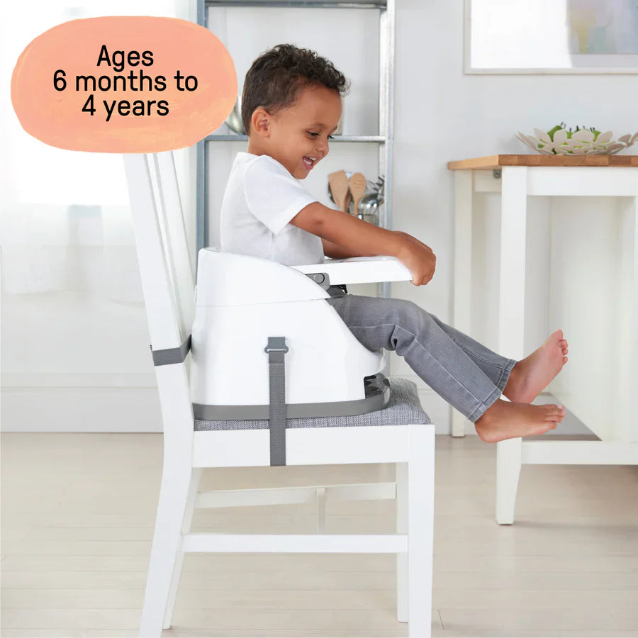 Ingenuity - Baby Base 2In1 Seat | Slate | 6M-3Y