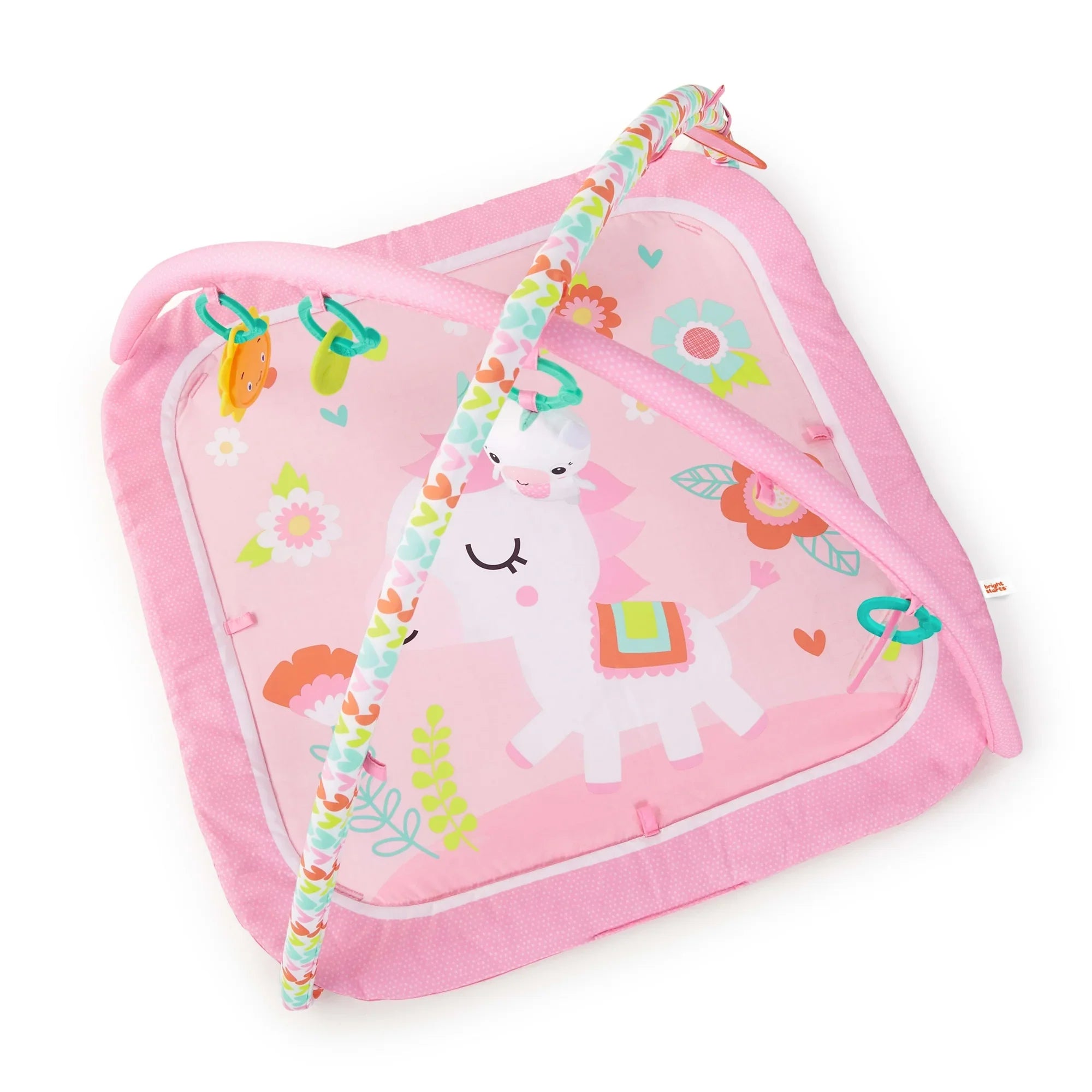 Bright Starts - Daydream Blooms Activity Gym For Babies