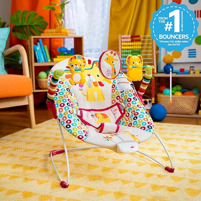 Bright Starts - Playful Pinwheels Bouncer | 0-6 M