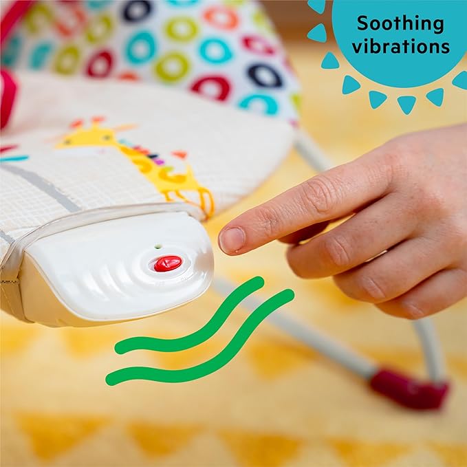 Bright Starts - Playful Pinwheels Bouncer | 0-6 M