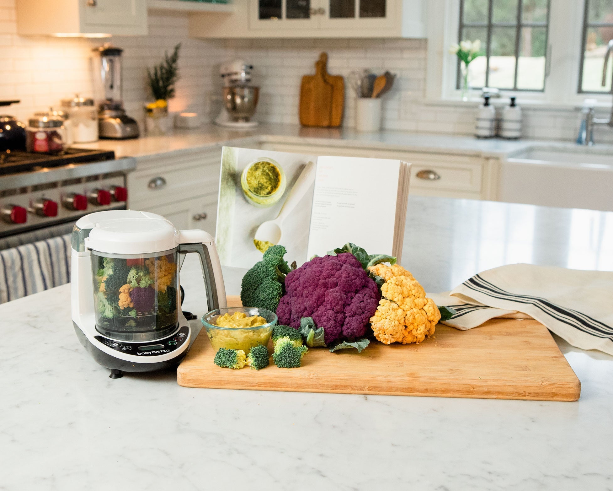 Baby Brezza Food Maker Deluxe spare part - Water Tank and Water Tank Cap