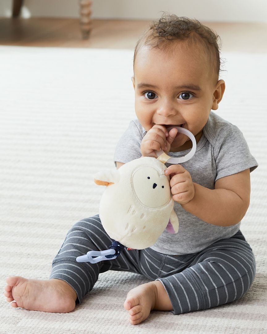 Skip Hop - Celestial Dreams Jitter Owl