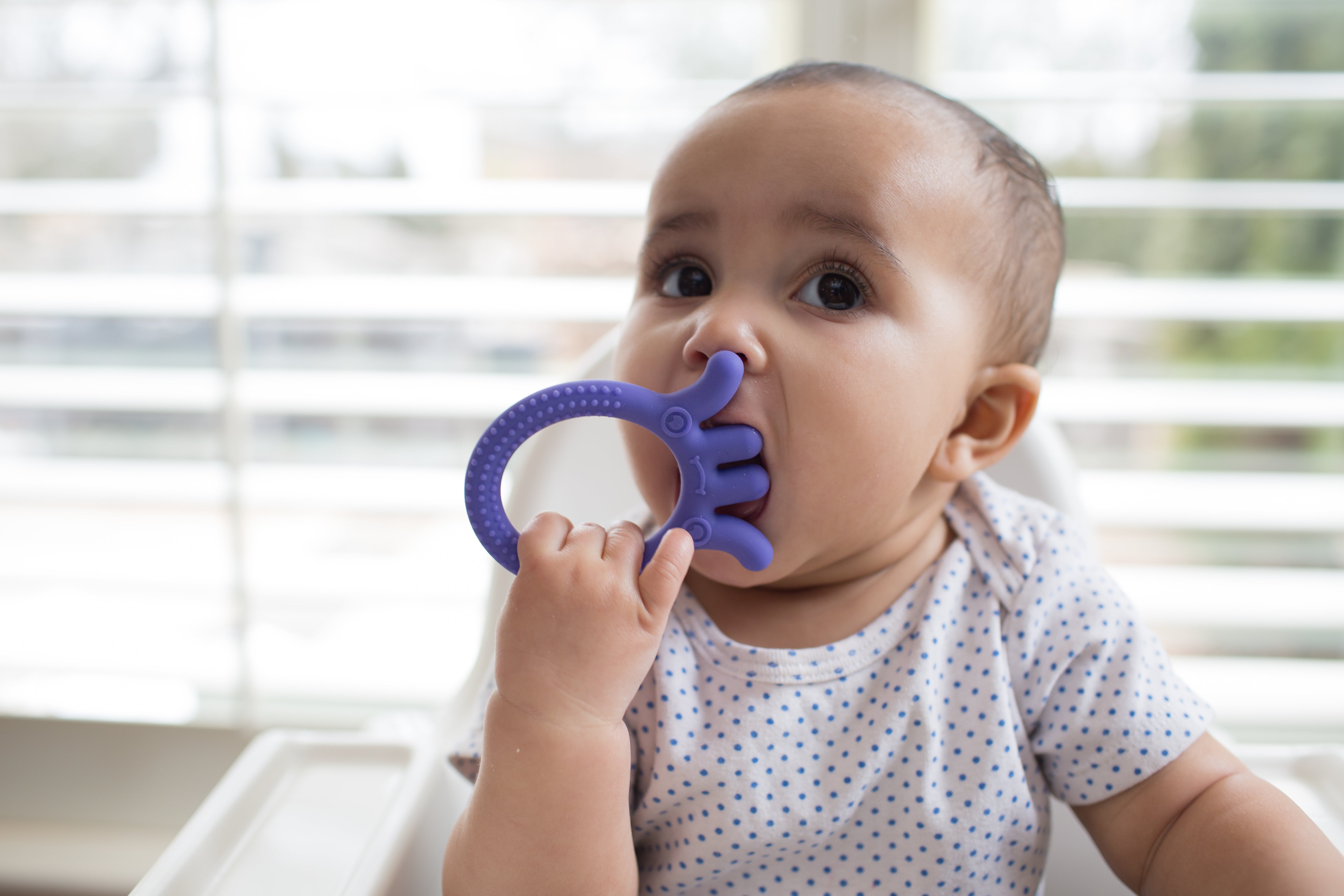 Flexees Friends Teether's